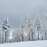 Lägenhet Alpl - Waldblick Mit Sauna, Kamin & Whirlwanne *
