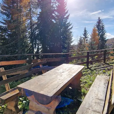 公寓 Alpl - Waldblick Mit Sauna, Kamin & Whirlwanne *