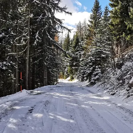 Lägenhet Alpl - Waldblick Mit Sauna, Kamin & Whirlwanne Hochrindl