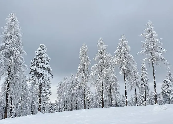 Apartament Alpl - Waldblick Mit Sauna, Kamin & Whirlwanne *